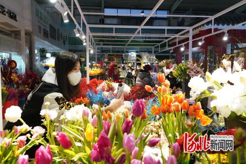 唐山凤凰花卉市场跻身中国商品市场峰会时尚市场30强，彰显办公用品多元化魅力