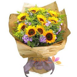 x618 时尚鲜花网花卉品种的全面解析