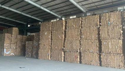 夯实前端回收，转变模式再出发 刘磊在第七届中国回收纸行业大会的探索之路